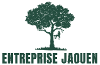 Entreprise JAOUEN, l'arbre et l'élagueur encordé
